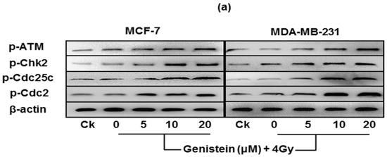 Molecules 18 13200 g008a 550