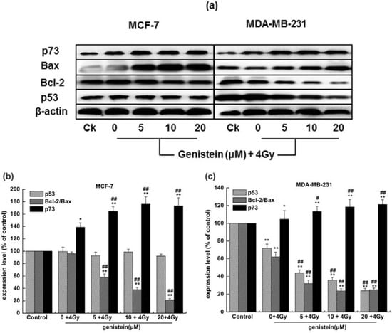 Molecules 18 13200 g009 550