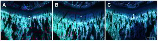 Molecules 18 13271 g003 550