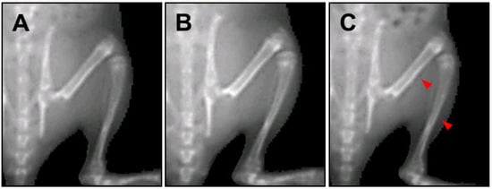 Molecules 18 13271 g005 550