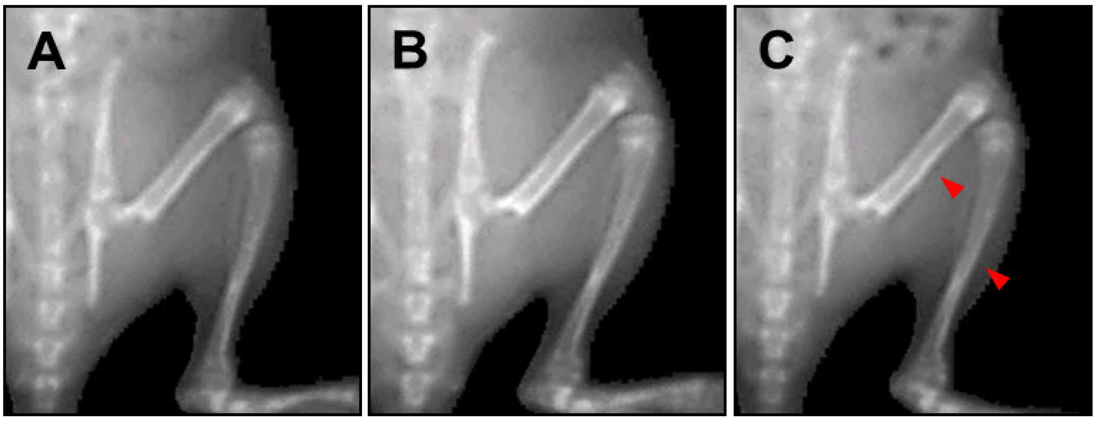 Molecules 18 13271 g005