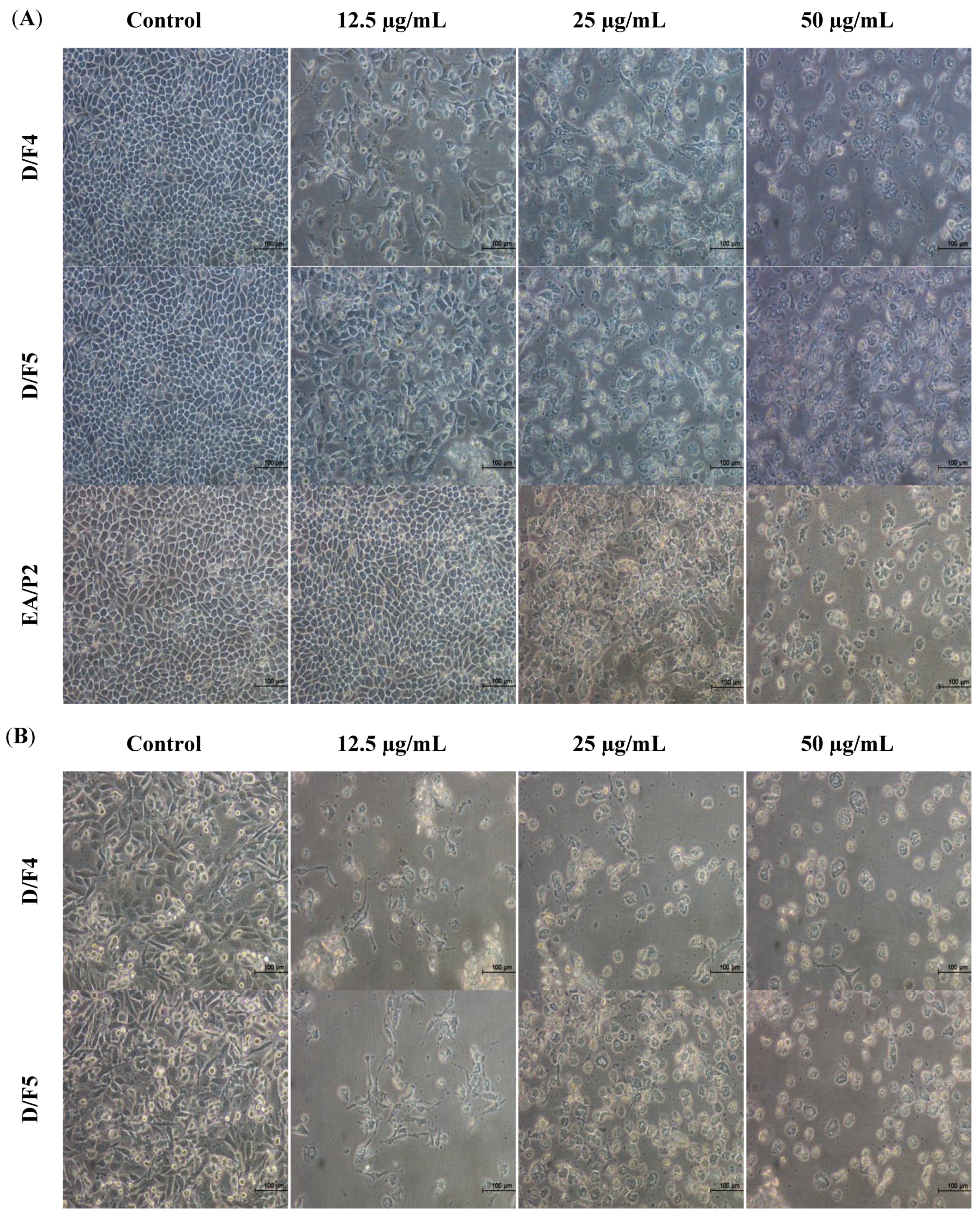 Molecules 18 13320 g001