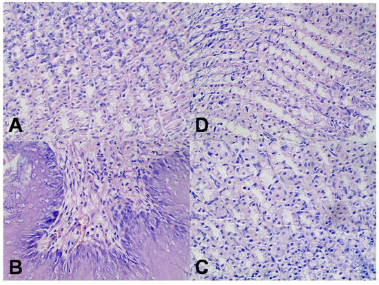 Molecules 18 13340 g007 550