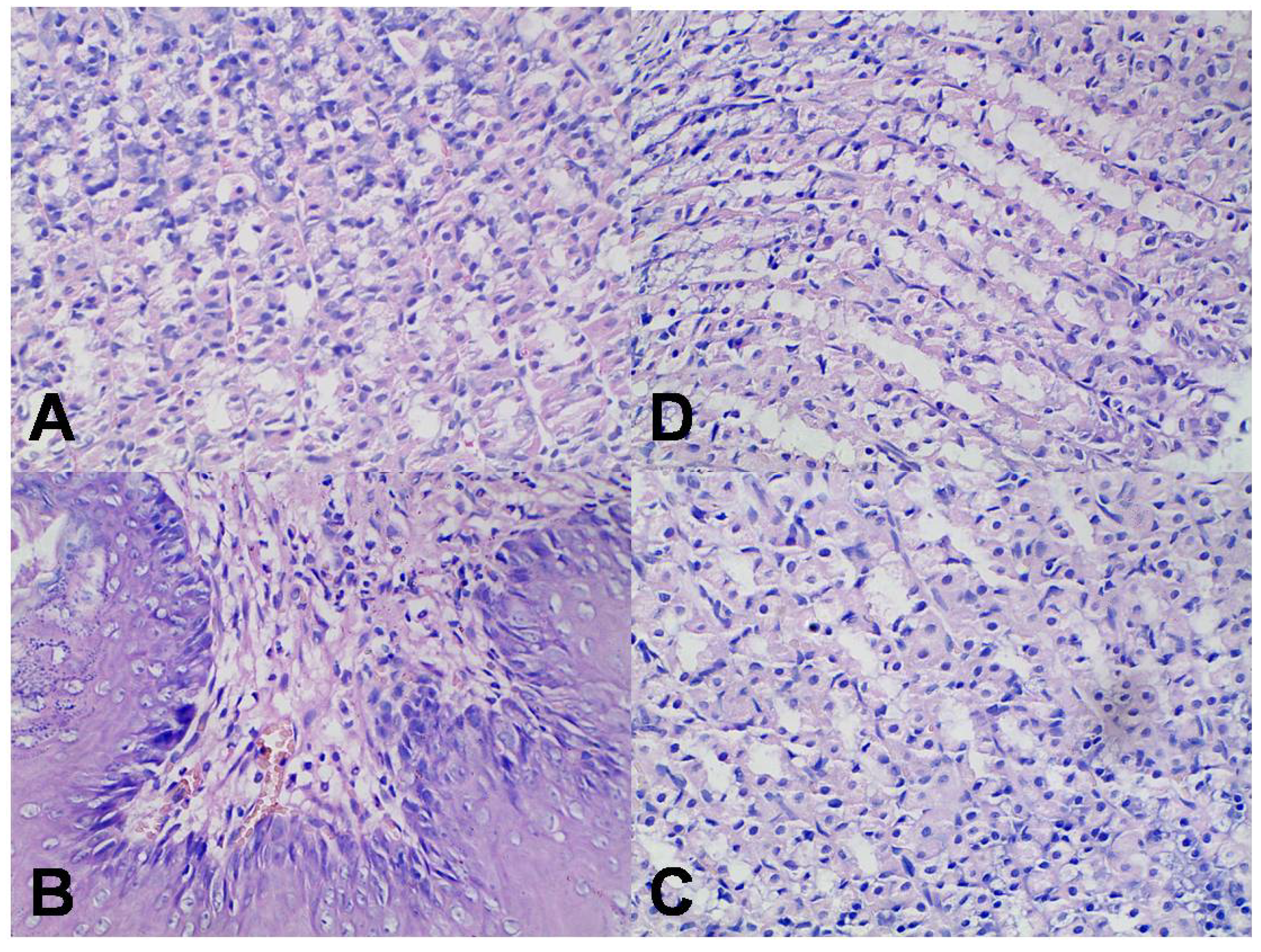 Molecules 18 13340 g007