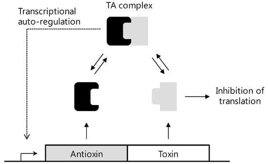 Molecules 18 13410 g004 550