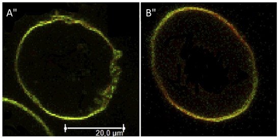Molecules 18 13546 g003 550
