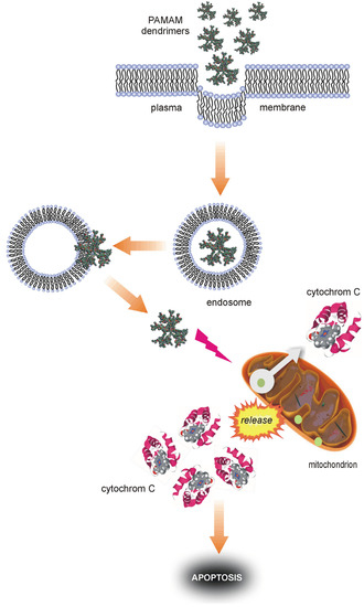 Molecules 18 13769 g010 550