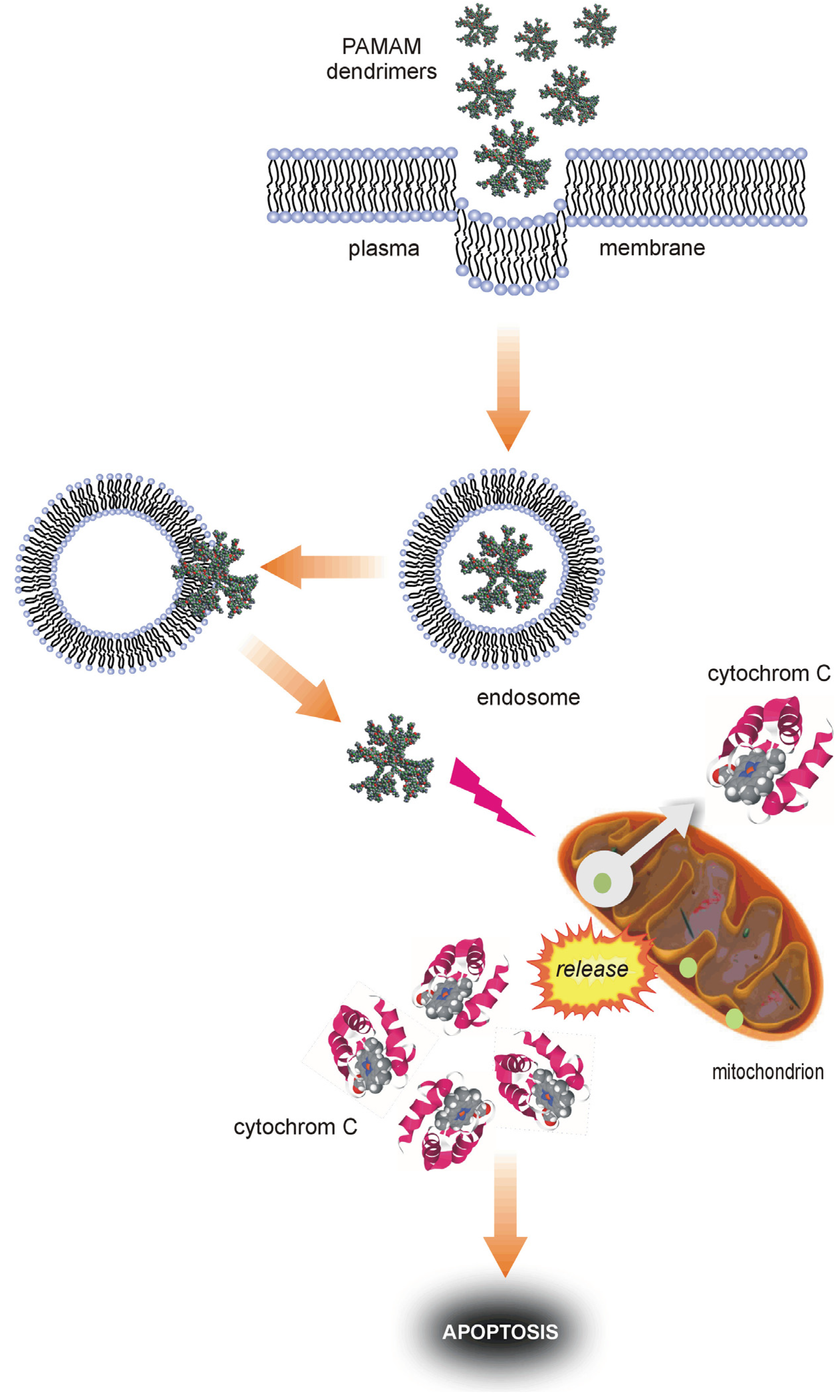 Molecules 18 13769 g010