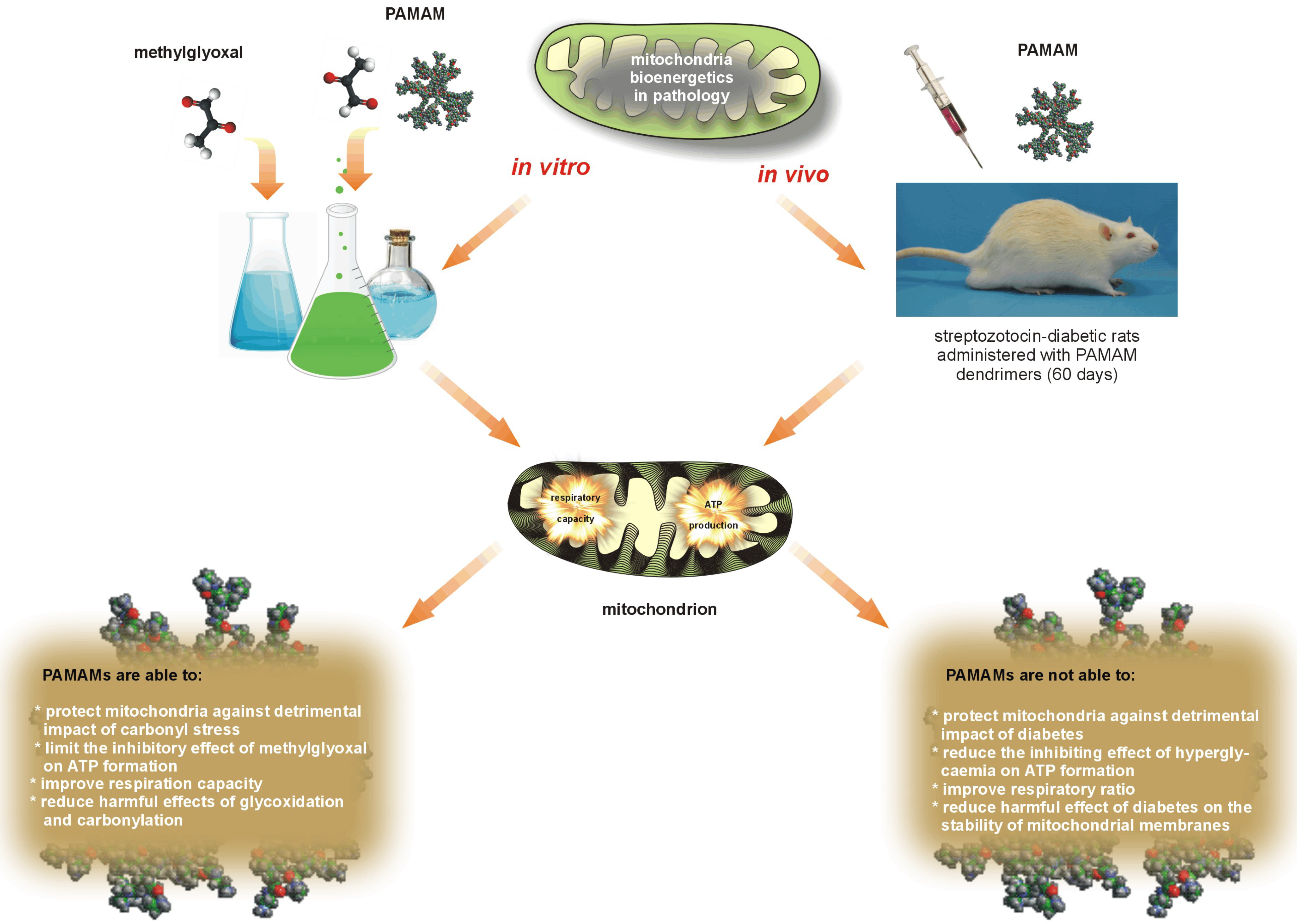 Molecules 18 13769 g012