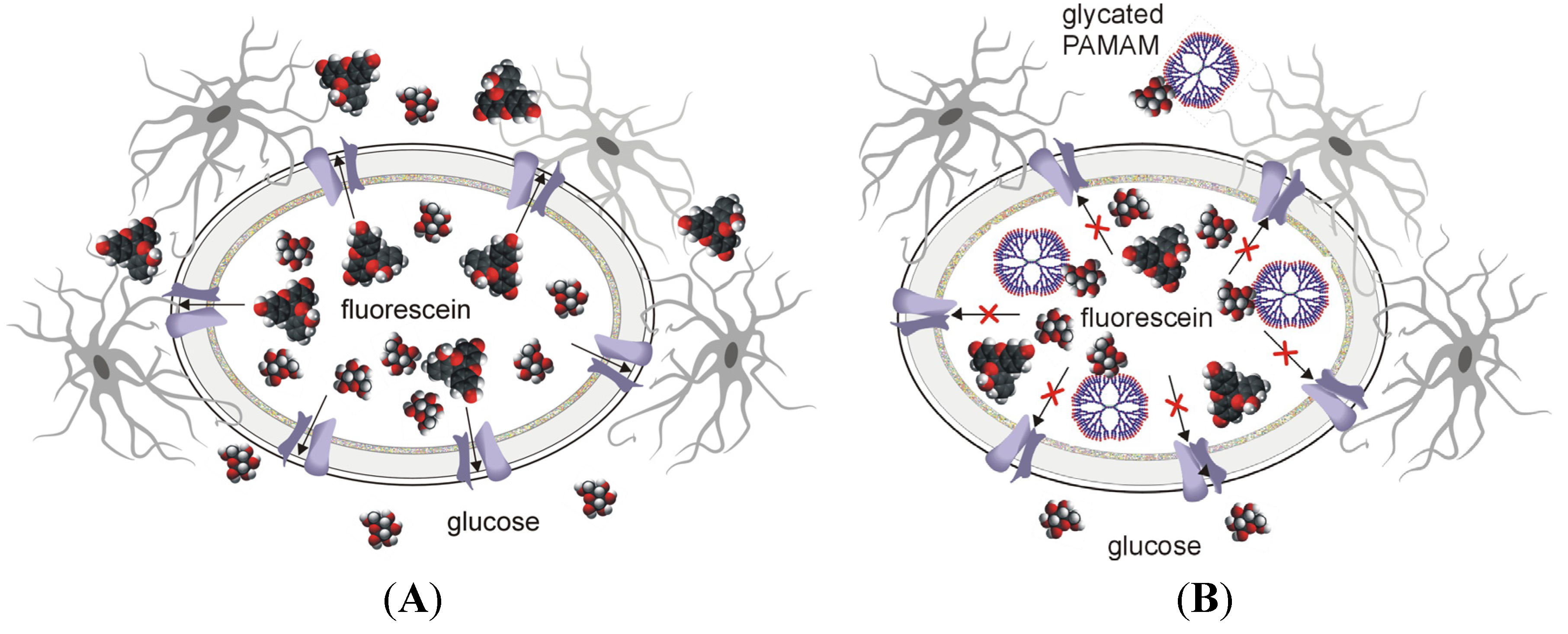 Molecules 18 13769 g014