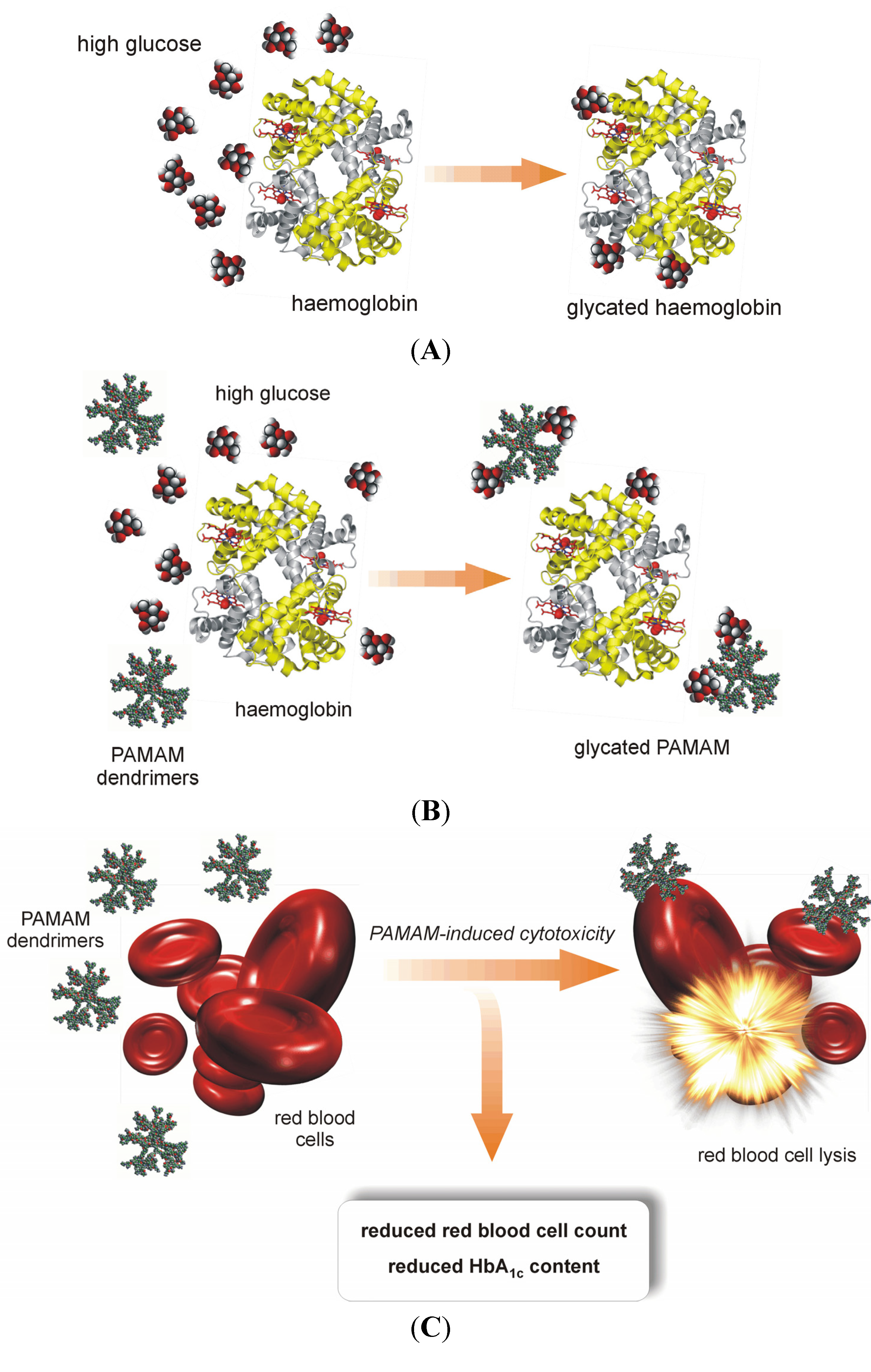 Molecules 18 13769 g017