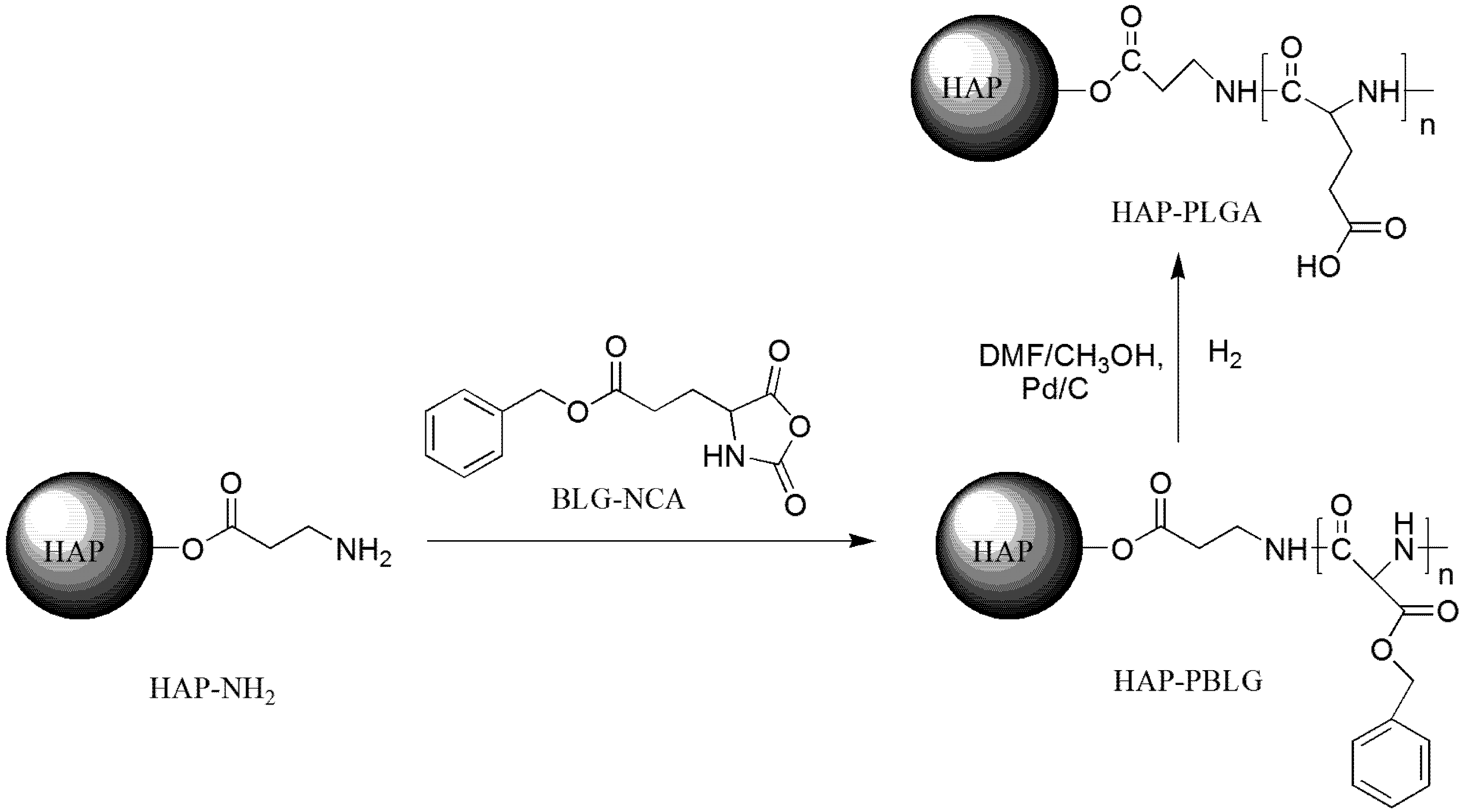 Molecules 18 13979 g007
