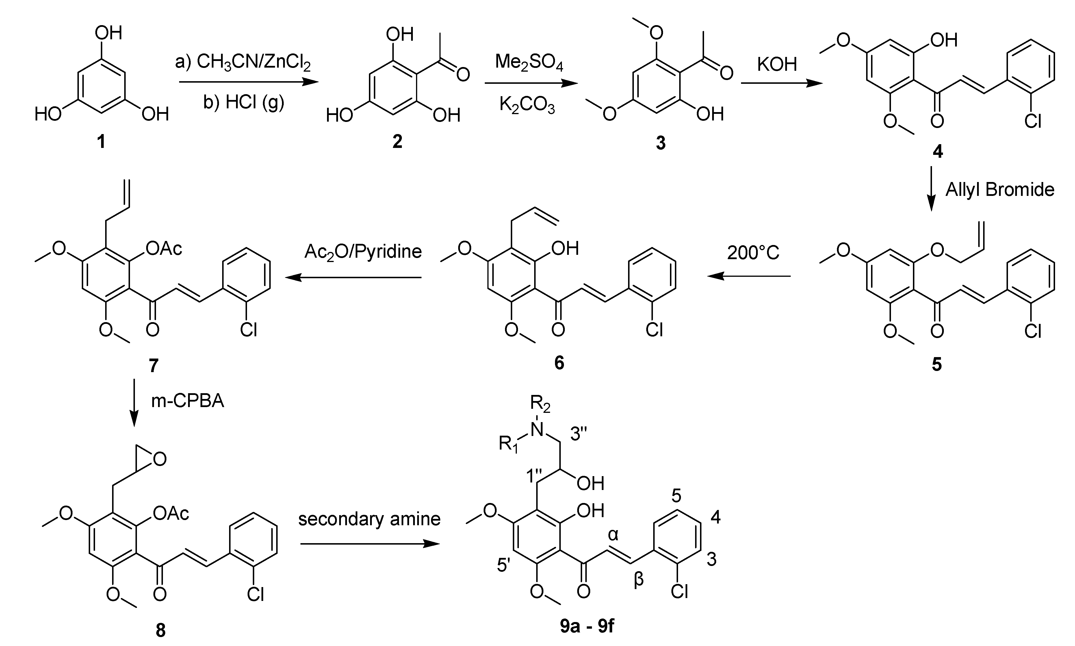 Molecules 18 14070 g003