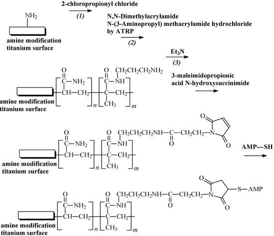Molecules 18 14122 g004 550