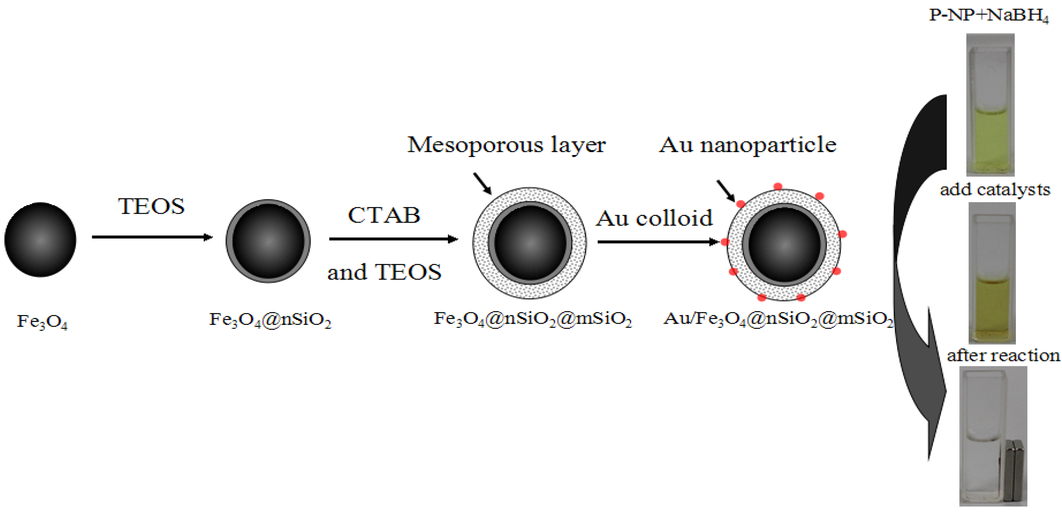 Molecules 18 14258 g009