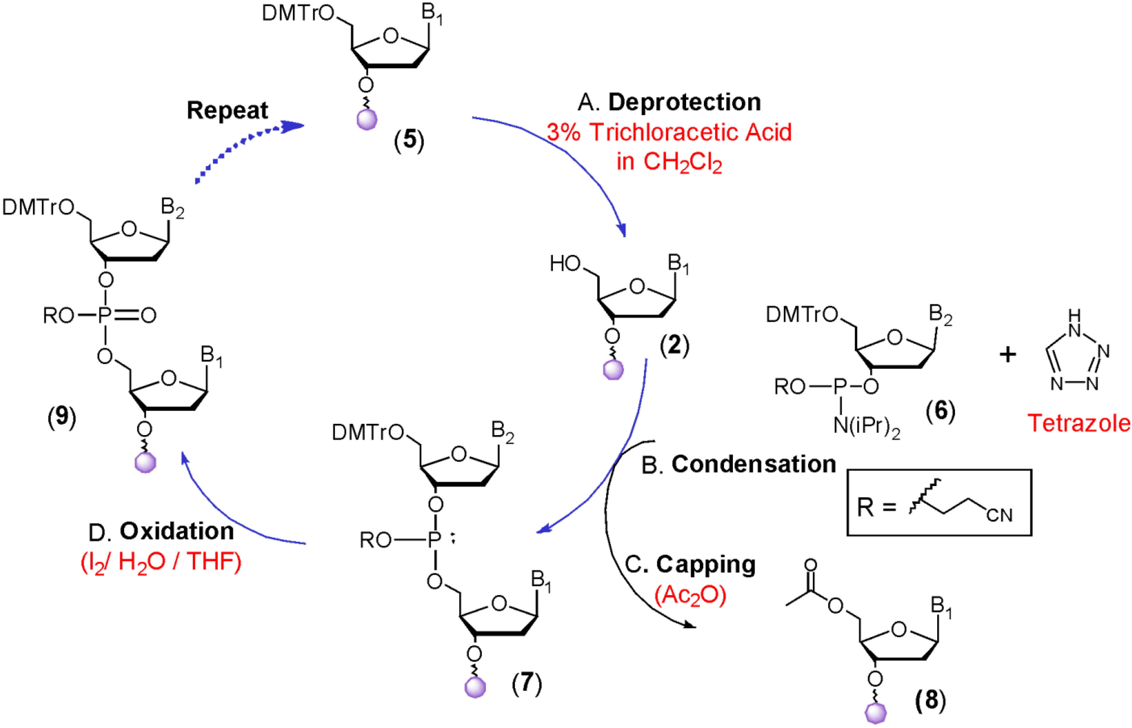Molecules 18 14268 g003