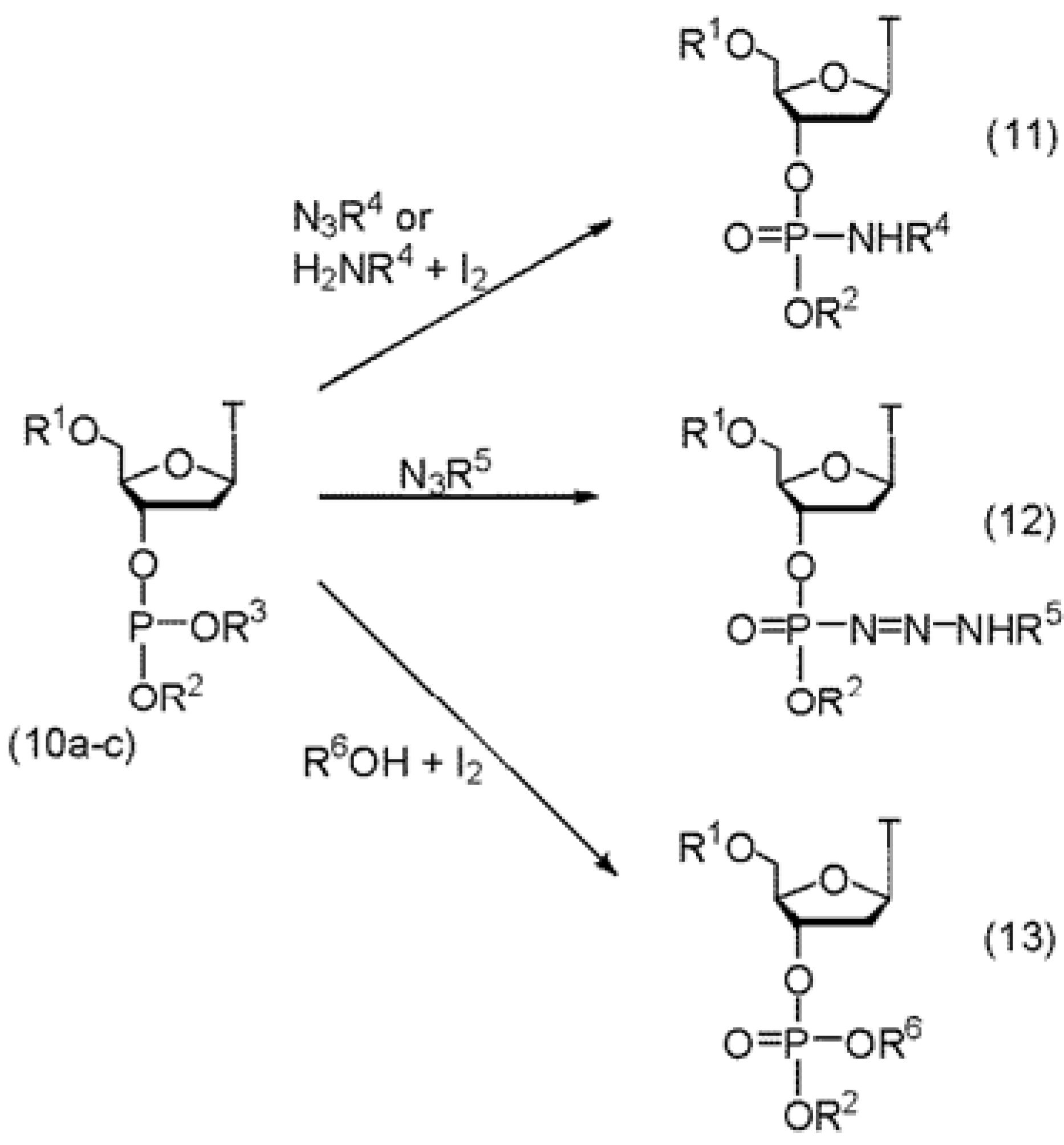 Molecules 18 14268 g004