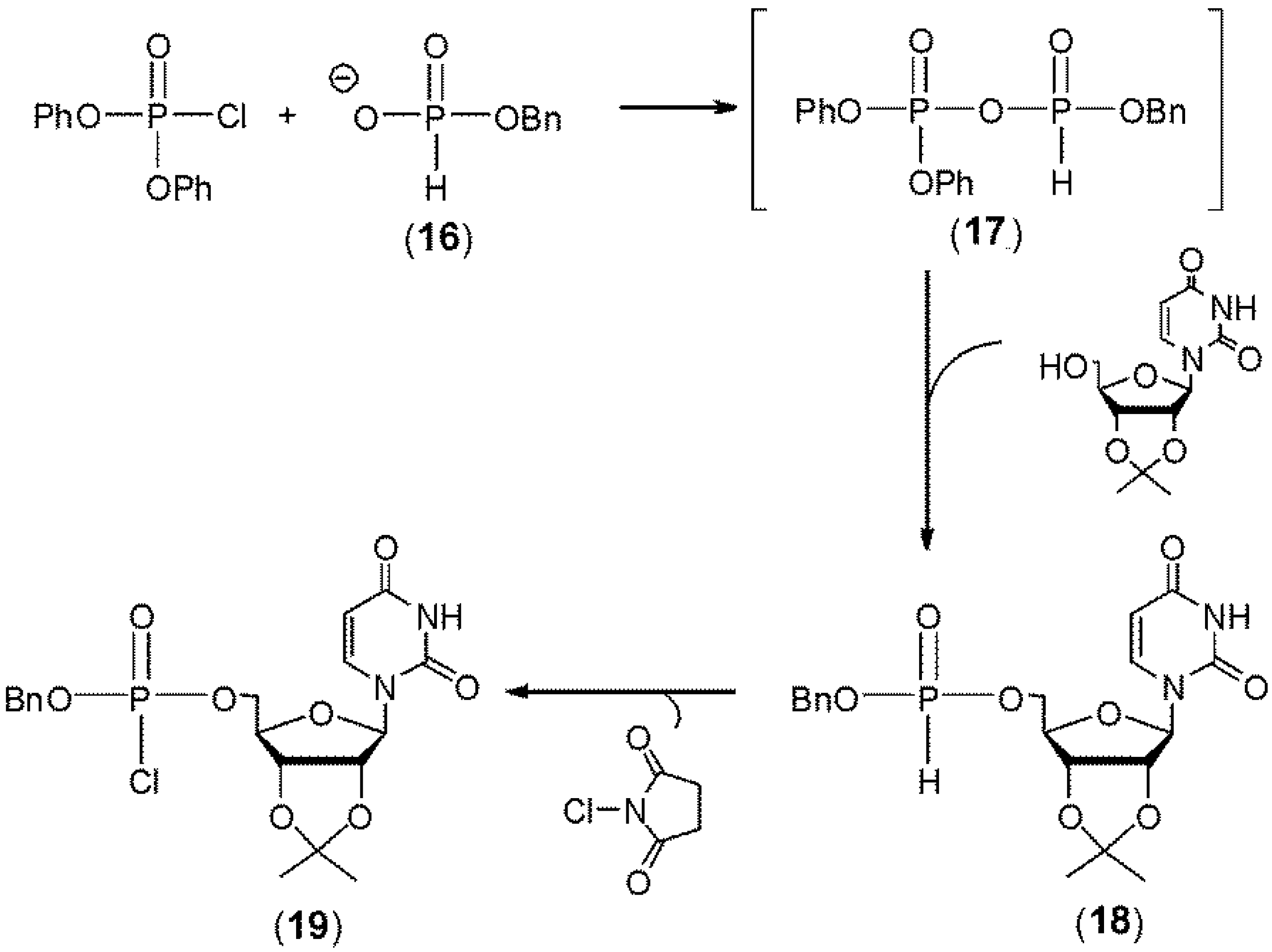 Molecules 18 14268 g005