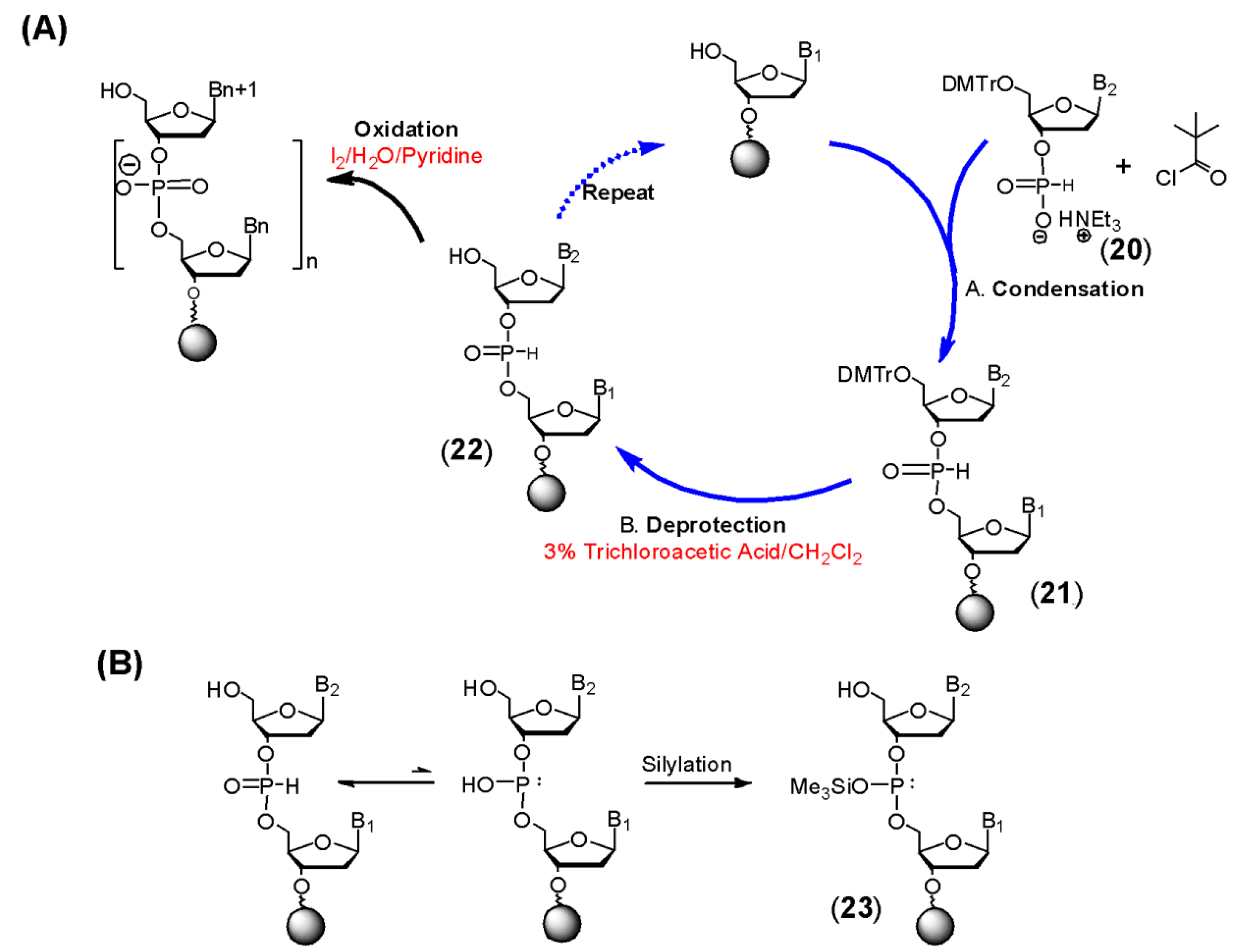 Molecules 18 14268 g006