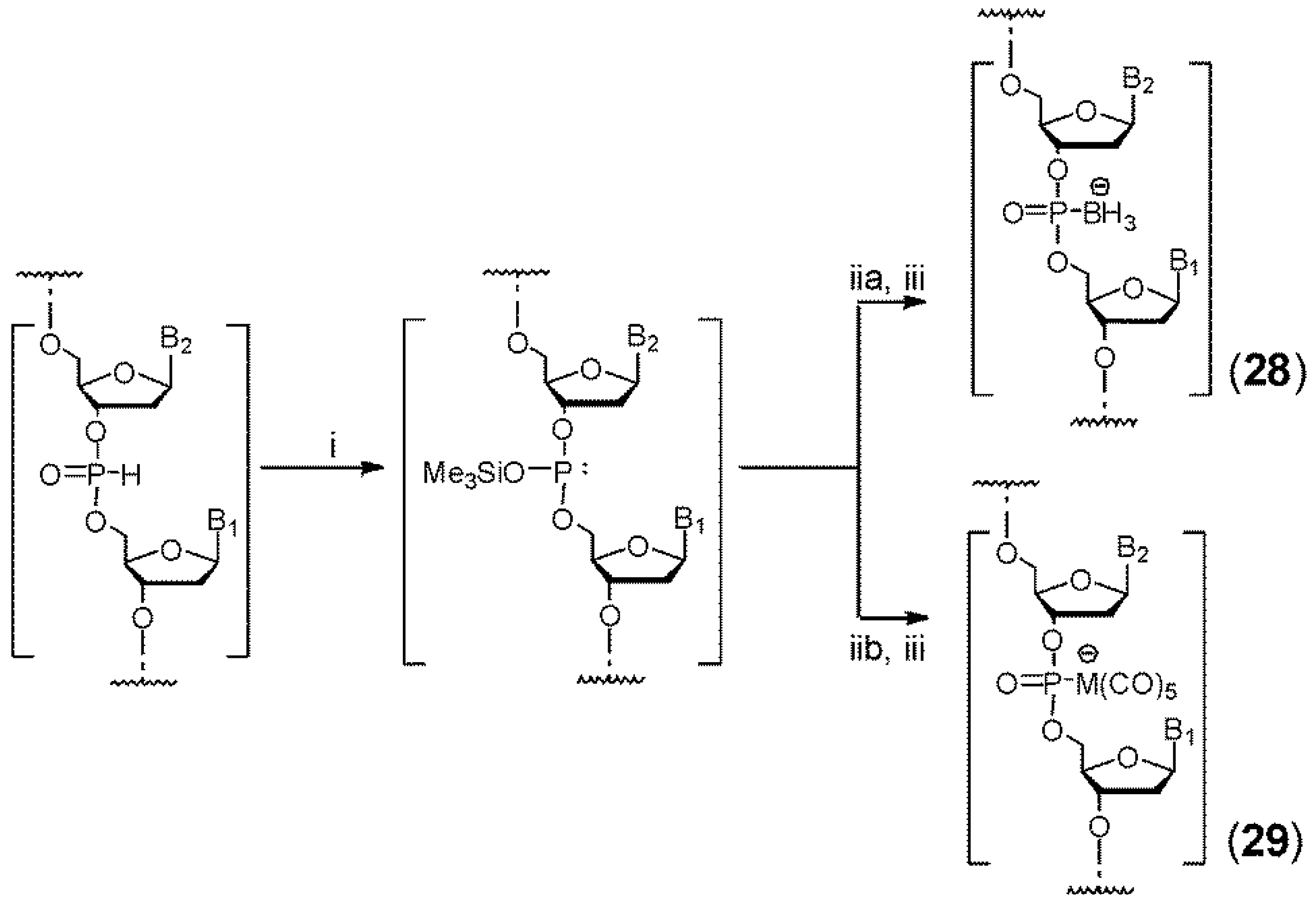 Molecules 18 14268 g007