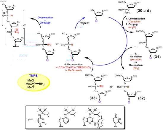 Molecules 18 14268 g008 550