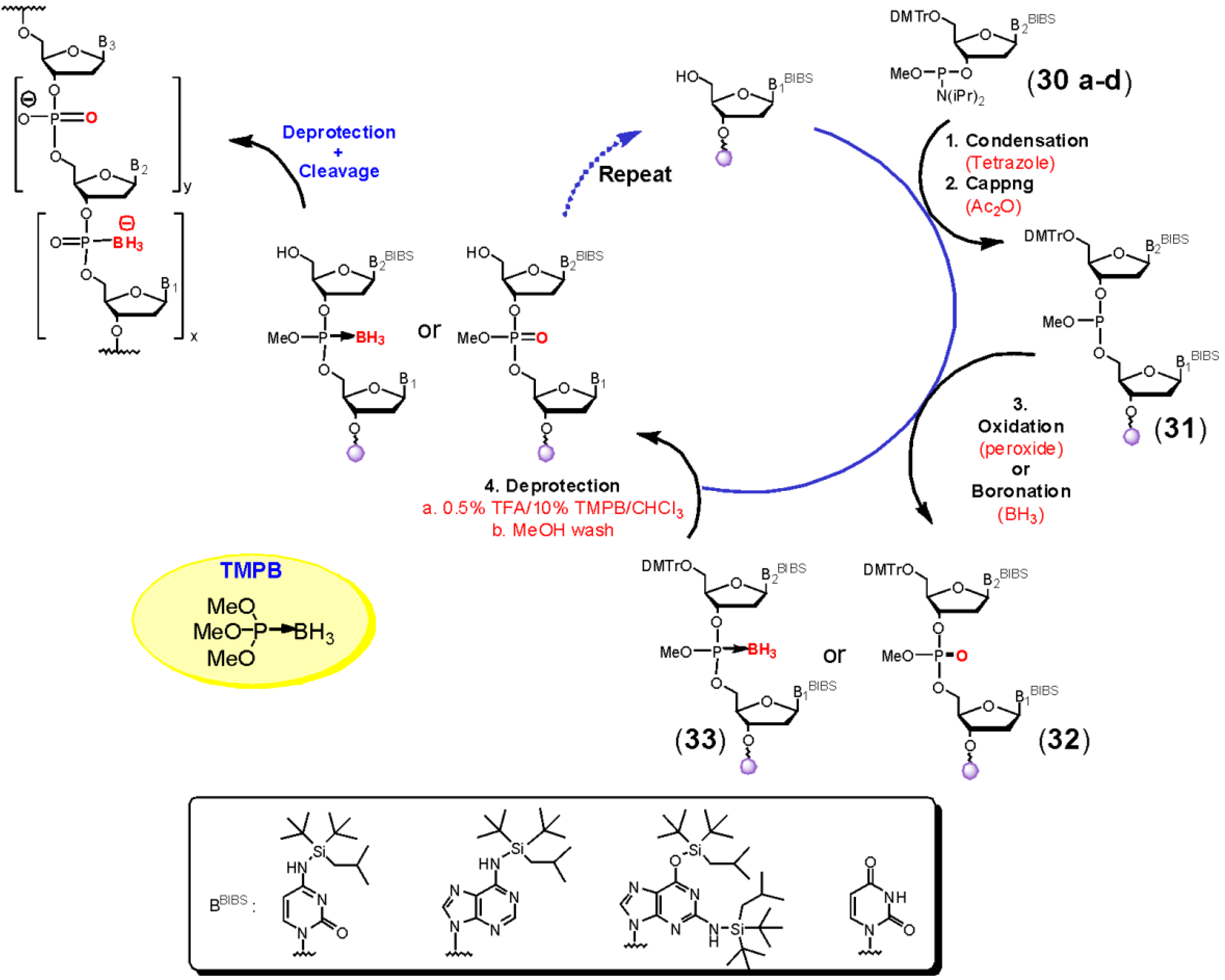 Molecules 18 14268 g008