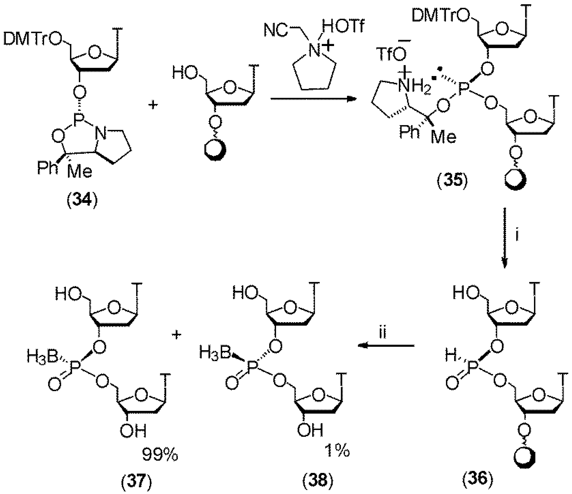 Molecules 18 14268 g009