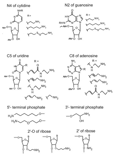 Molecules 18 14455 g001 550