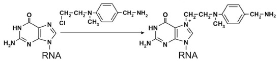 Molecules 18 14455 g005 550