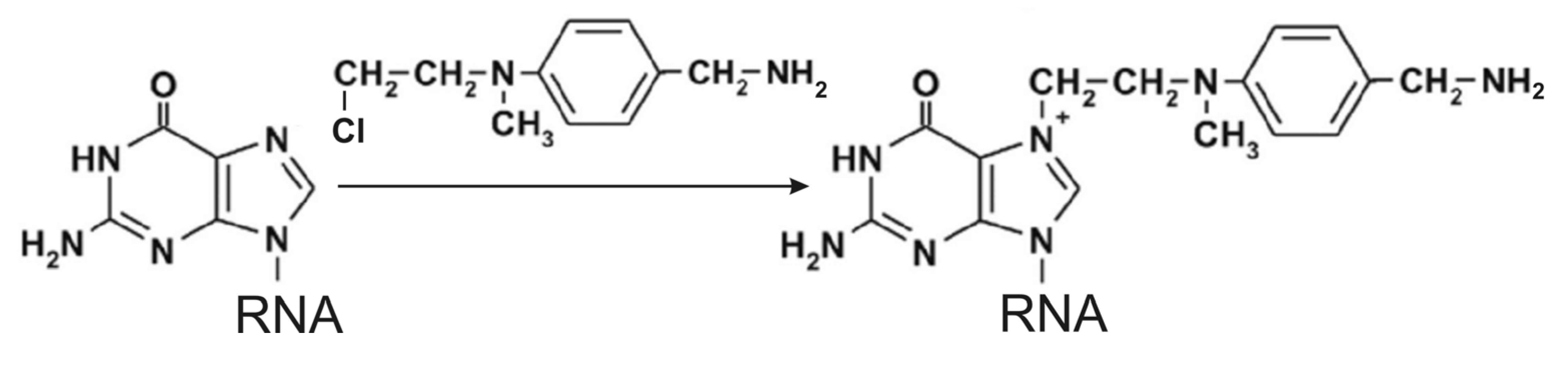 Molecules 18 14455 g005
