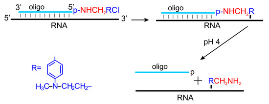 Molecules 18 14455 g006 550