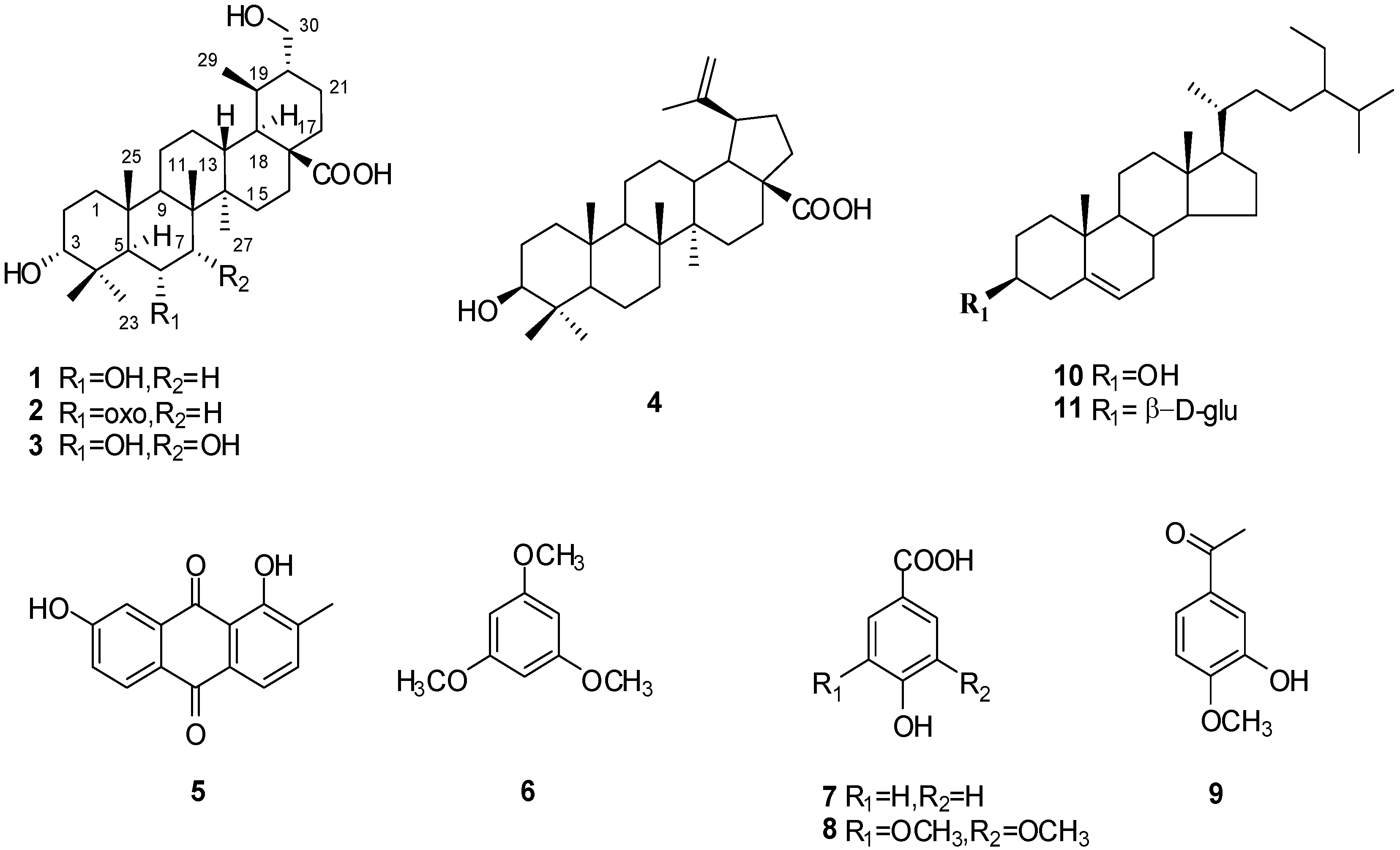 Molecules 18 14496 g001