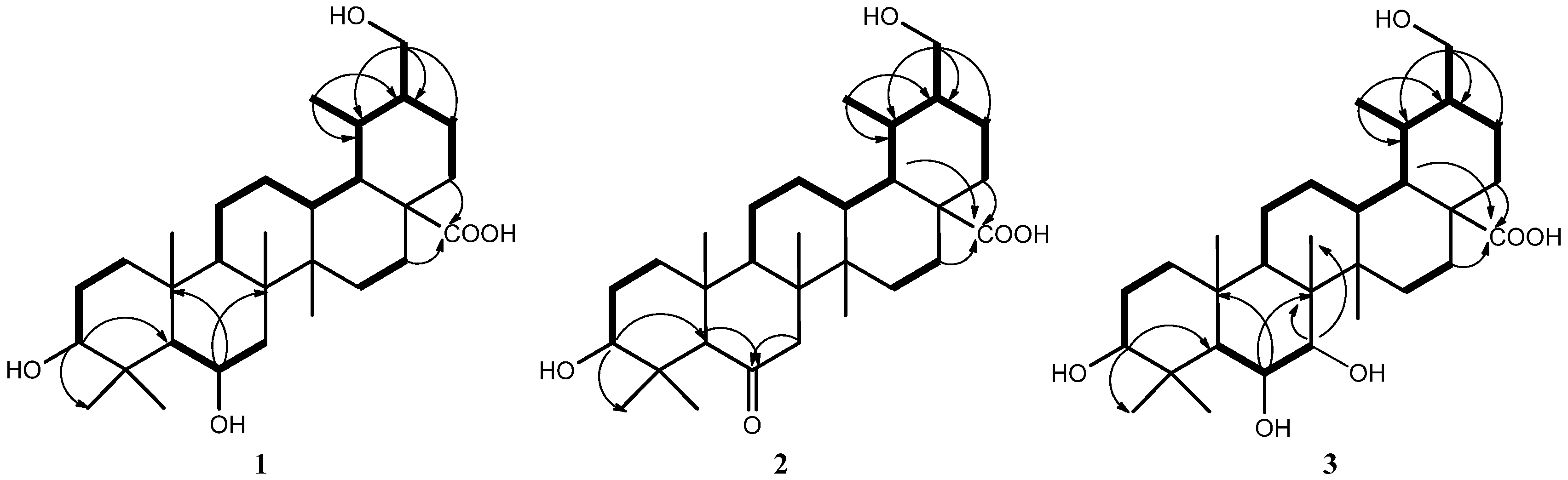 Molecules 18 14496 g002