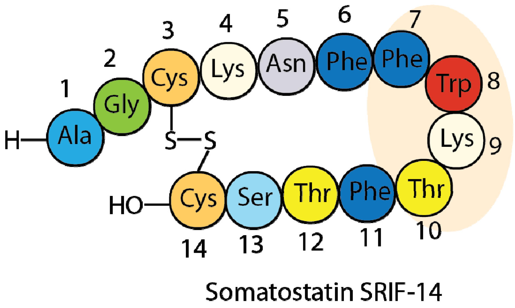 Molecules 18 14564 g001