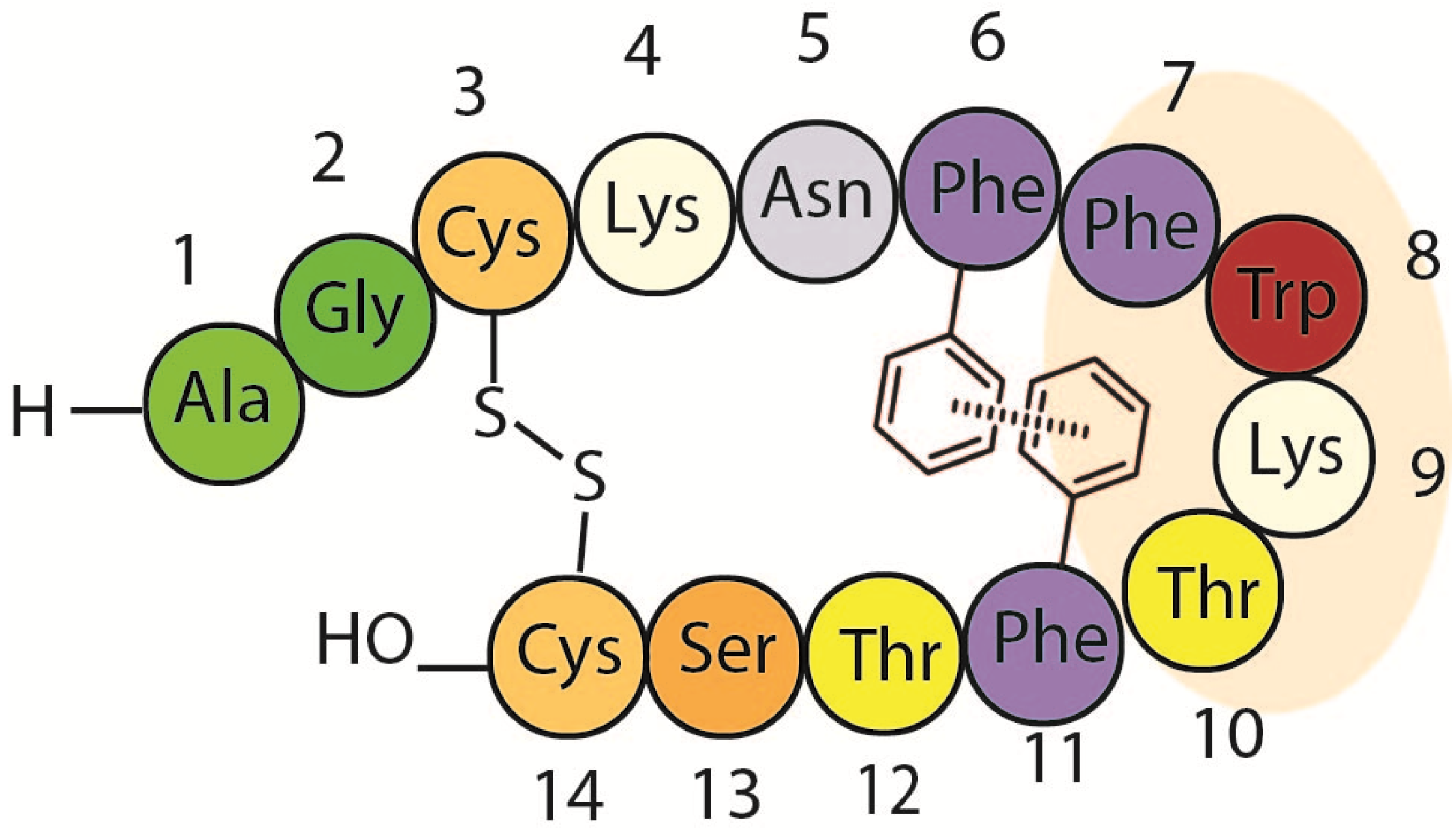 Molecules 18 14564 g003