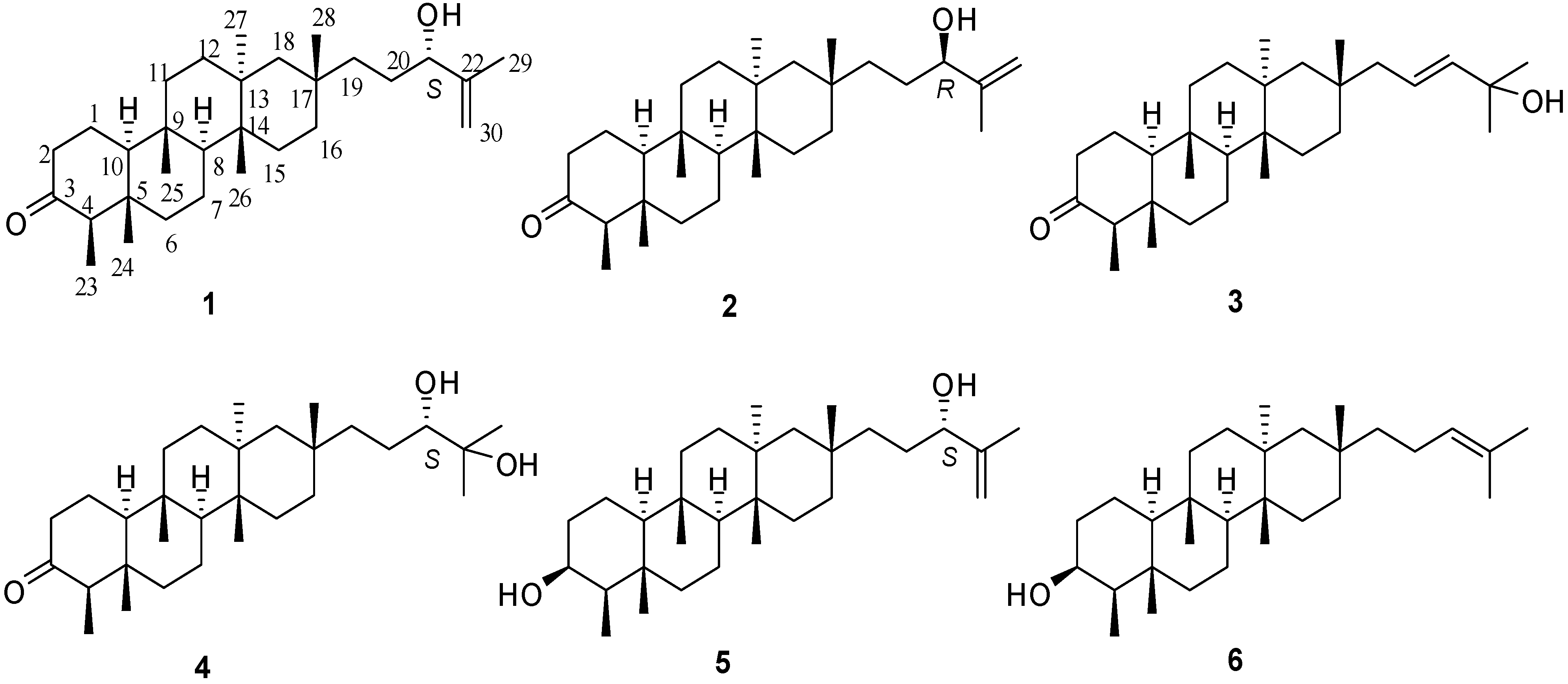Molecules 18 14585 g001