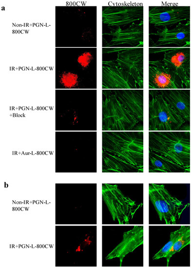 Molecules 18 14613 g002 550