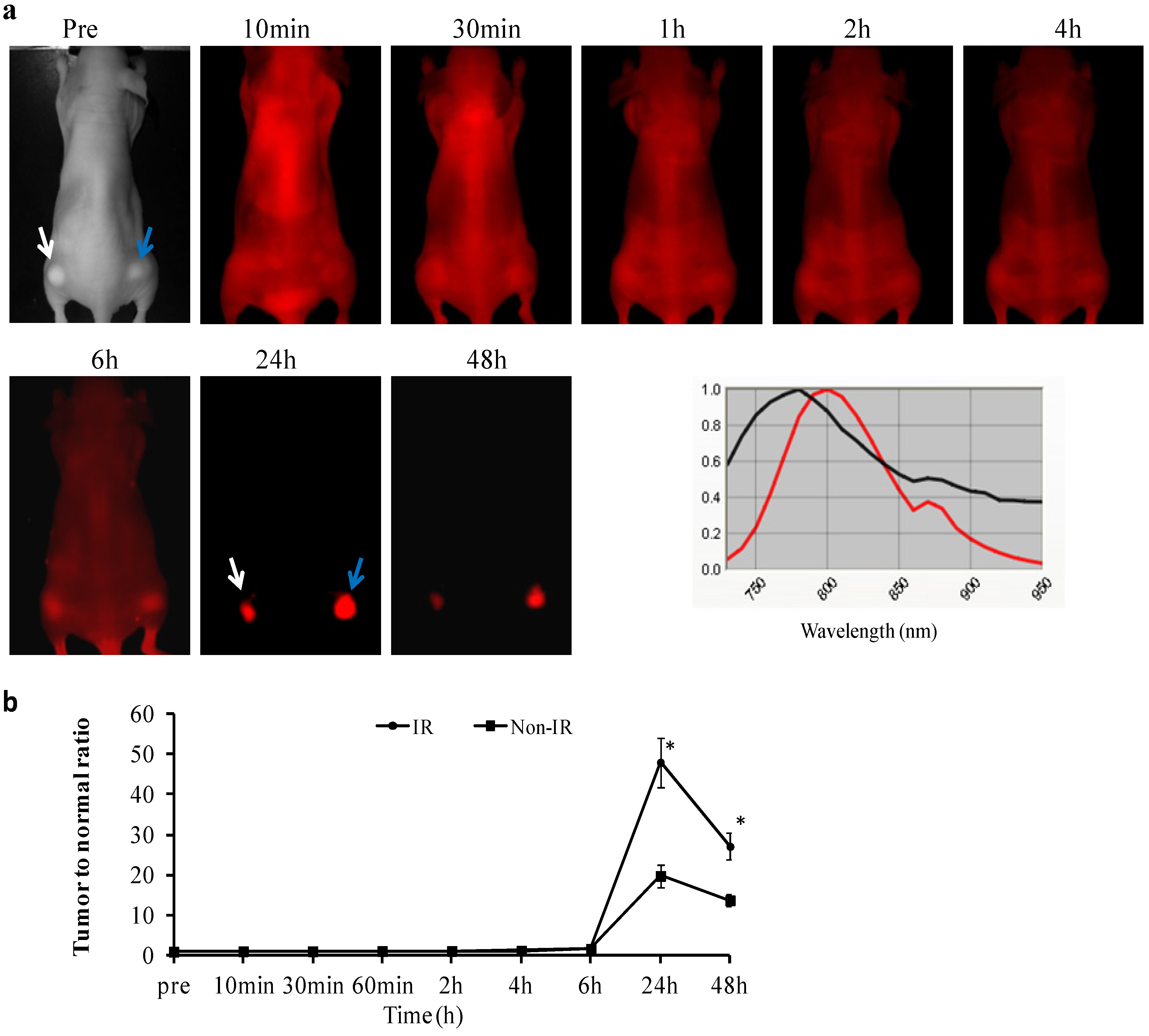 Molecules 18 14613 g003