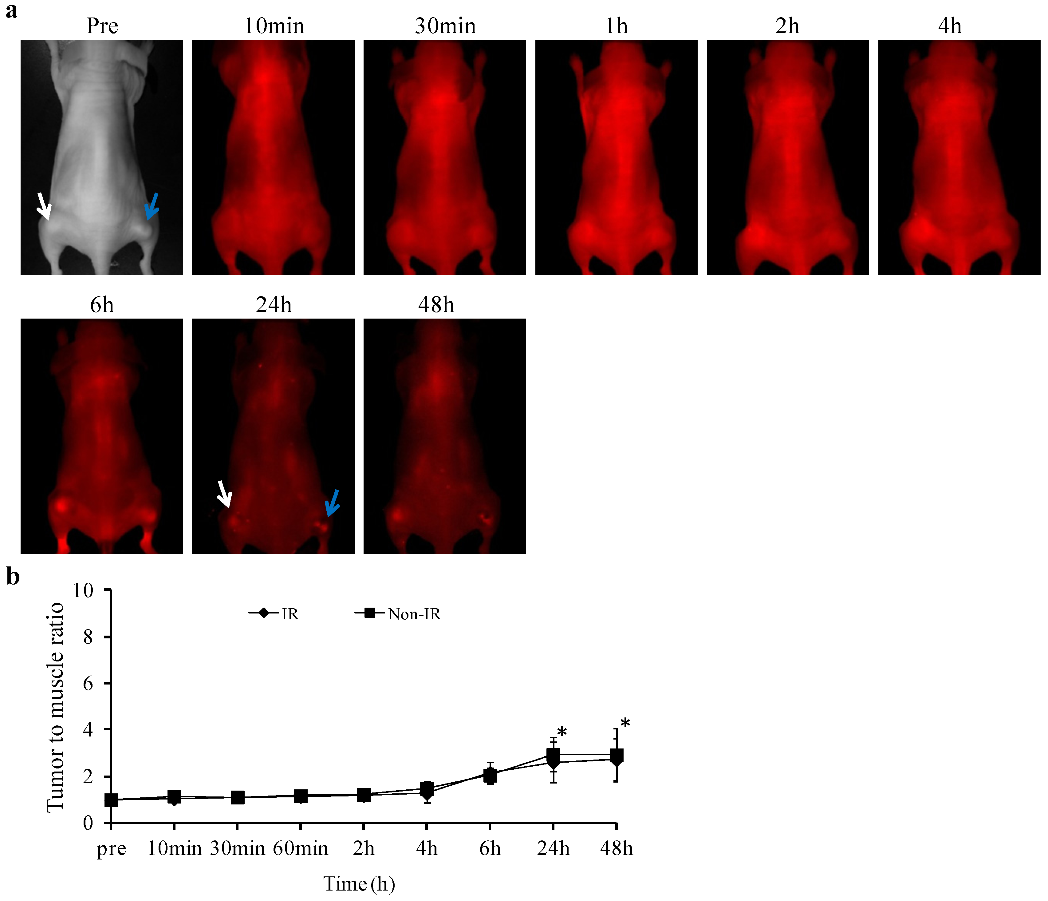 Molecules 18 14613 g004