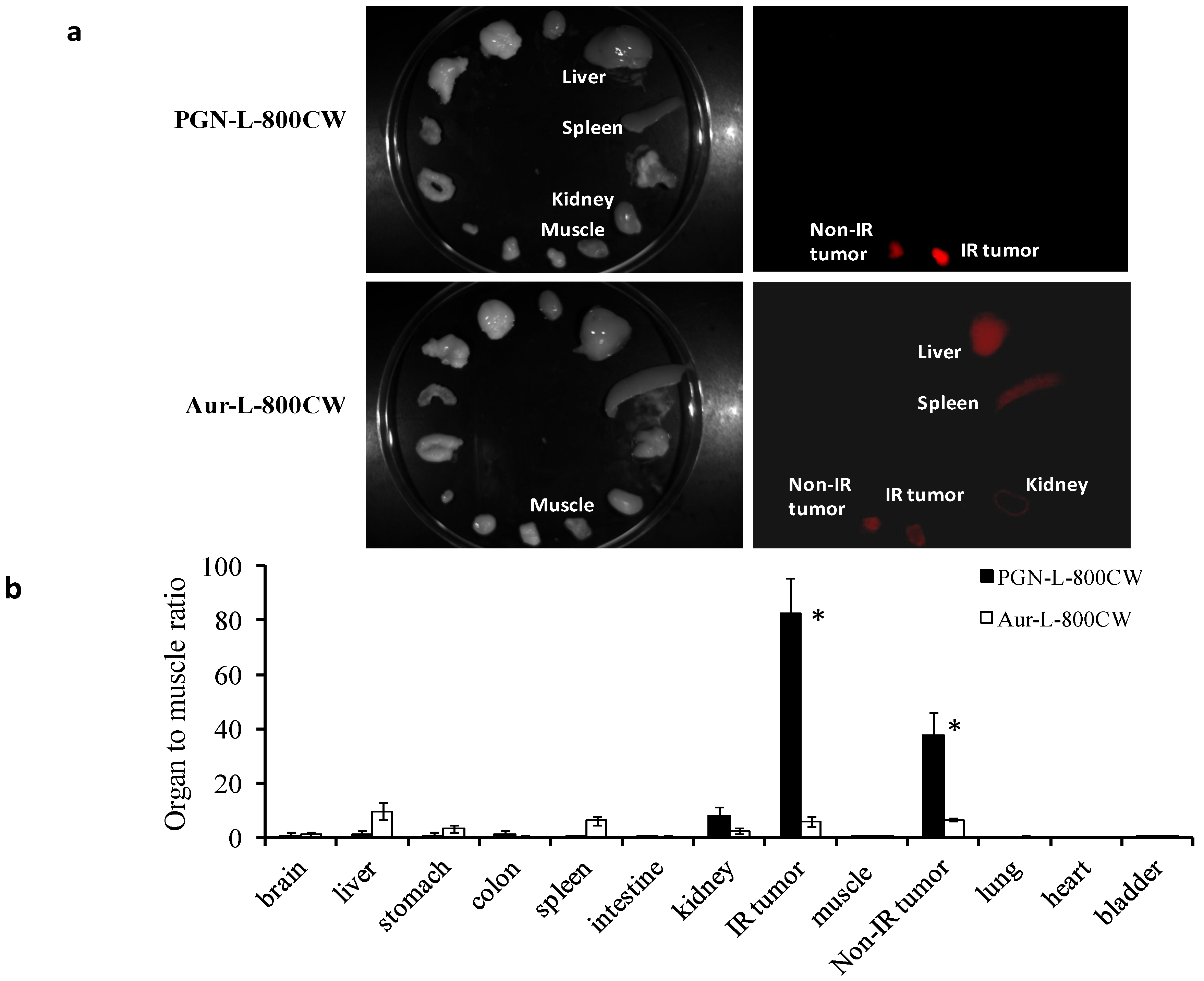 Molecules 18 14613 g005