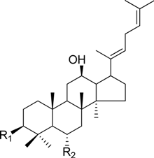 Molecules 18 14849 i004