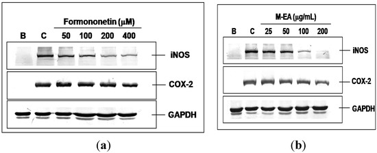 Molecules 18 14862 g004 550