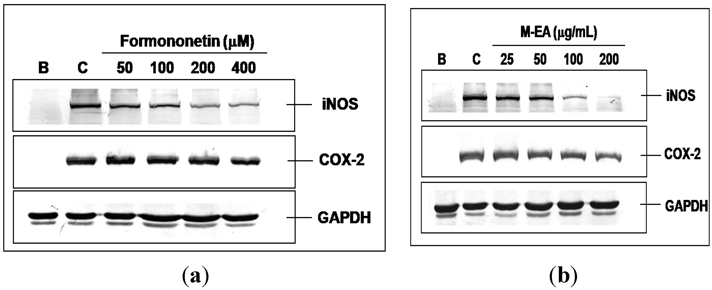 Molecules 18 14862 g004