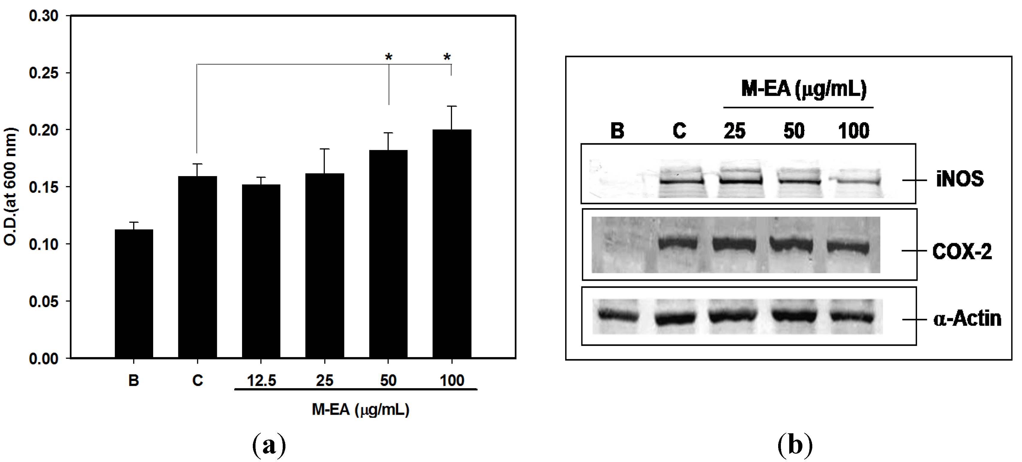 Molecules 18 14862 g005