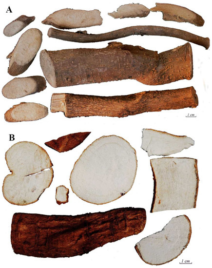 Molecules 18 15134 g001 550