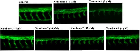 Molecules 18 15305 g002 550