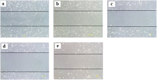 Molecules 18 15305 g003 550
