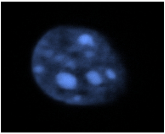 Molecules 18 15357 g001 550