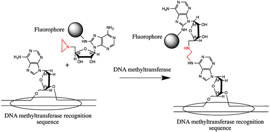 Molecules 18 15357 g002 550
