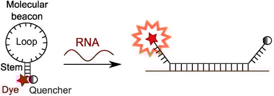 Molecules 18 15357 g013 550